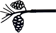 Pine Cone Curtain Rod