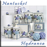 nantucket hydranea