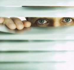 Discount Mini Blinds